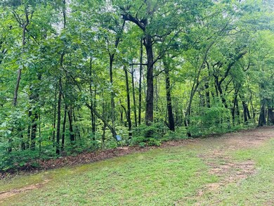 Lot 94 Doll Mountain Rd, Ellijay, GA 30540 - photo 2