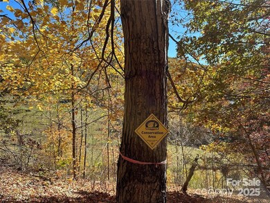 Conservation Area next to Property