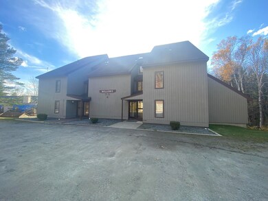 13 Snowtree Ln unit Willows K, West Dover, VT 05356 - photo 4