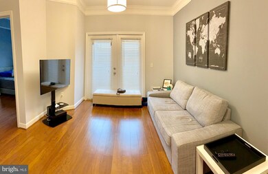 The Fitz at Rockville Town Center, Rockville, MD 20850 - photo 7