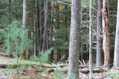 131 Water View Dr, Hawley, PA 18428 - photo 2