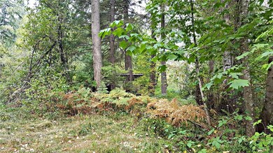 0 128th Ave E unit 1195099, Graham, WA 98338 - photo 6