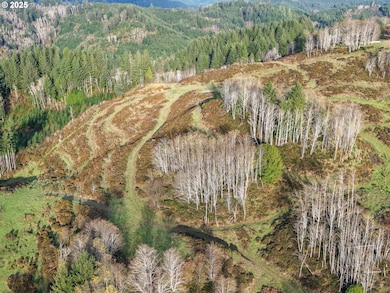 96312 Shutters Creek Rd, North Bend, OR 97459 - photo 7