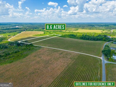 Tract 9 Sellers Rd, Baxley, GA 31513 - photo 4