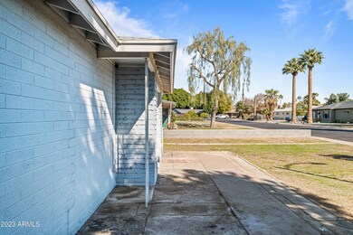 Clean Slate Front Yard !