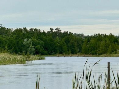 Lot 8 Mograin, Cheboygan, MI 49721 - photo 3