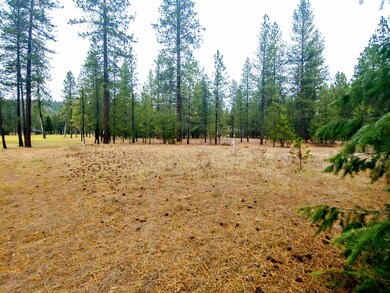 Cleared lot for your home site