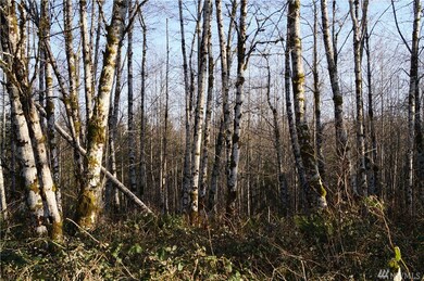 0 McGaughy Ridge Ln unit 1574341, Elma, WA 98541 - photo 2