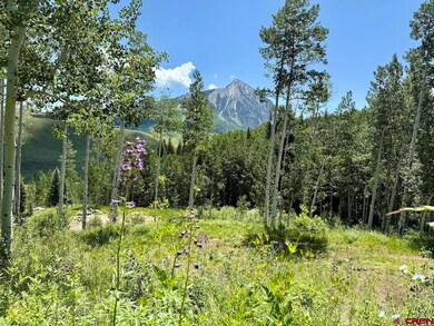 227 Phoenix Way, Crested Butte, CO 81224 - photo 5