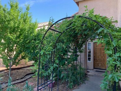 Urban Garden