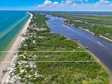 11799 Keewaydin, Naples, FL 34113 - photo 4