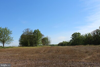 0 Not On File unit 1002424084, Berryville, VA 22611 - photo 6