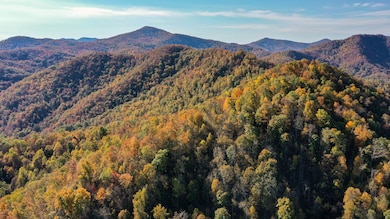 0 Tbd East Fork Rd, Sylva, NC 28779 - photo 3