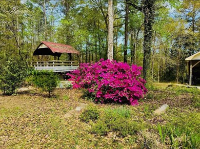 627 Al-131, Eufaula, AL 36027 - photo 4