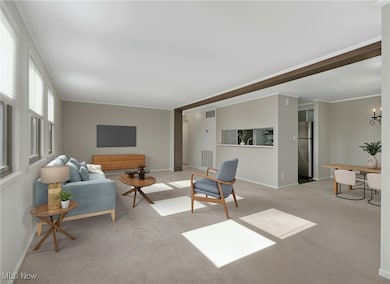 562 Turney Rd unit D, Bedford, OH 44146 - photo 6