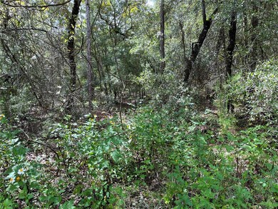 00 SW 206th Ct, Dunnellon, FL 34431 - photo 4