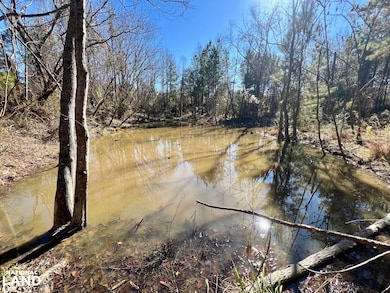 0 County Road 35 E, Lower Peach Tree, AL 36751 - photo 4