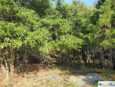 4972 Comanche Dr, Temple, TX 76502 - photo 3