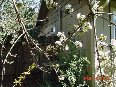 1126 SW Spruce St, Grants Pass, OR 97526 - photo 7