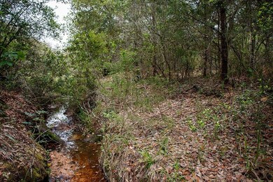 0 Hickory Place, Weimar, TX 78962 - photo 5