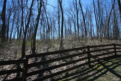 6464 Indian Creek Rd, Zionsville, PA 18092 - photo 7