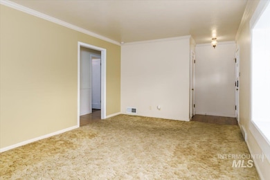 Unfurnished room with crown molding and light carpet