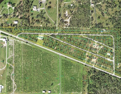 33410 Washington Loop Rd, Punta Gorda, FL 33982 - photo 2