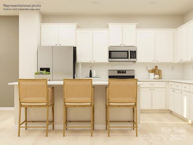 1107 Bandon Dr, Waxhaw, NC 28173 - photo 4