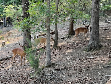 Lot 72 Huron Cir, Ellijay, GA 30540 - photo 7