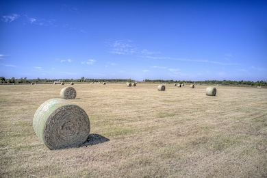 Sh 34 unit @ FM 1566, White Rock, TX 75496 - photo 6