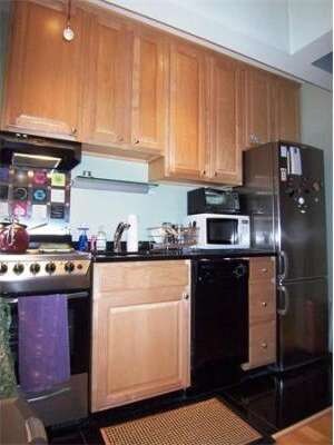 24 Peterborough St unit 14, Boston, MA 02215 - photo 4