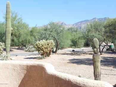 View from fromt patio