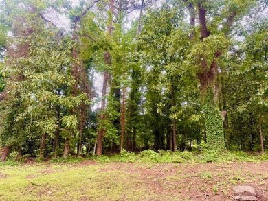 View of tree lined backyard