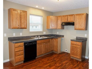 Kitchen has a new dishwasher.