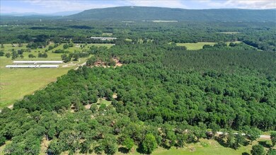 LOT 4 Walker Mountain Rd, Heavener, OK 74937 - photo 4