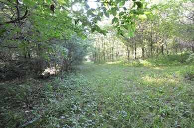 2167 Brewers Mill Rd, Harrodsburg, KY 40330 - photo 7