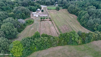 dji_fly_20250804_201024_0010_17543563687