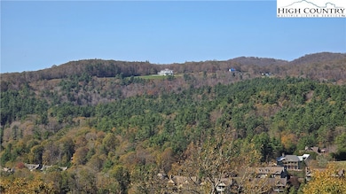 View of the Cone Manor/Estate from Porch