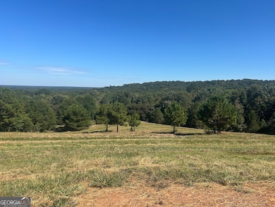 0 New Mexico Rd unit TRACT 1 (7.47 ACRES), Bowdon, GA 30108 - photo 3