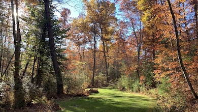 220 S Ridgeview Dr, Cool Ridge, WV 25825 - photo 3