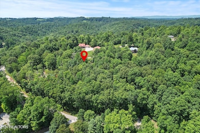 711 Jim Lee Ridge Rd, La Follette, TN 37766 - photo 4