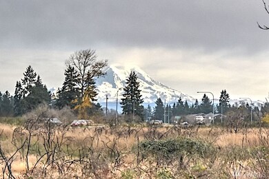 14910 Mountain View Ct SE, Yelm, WA 98597 - photo 2