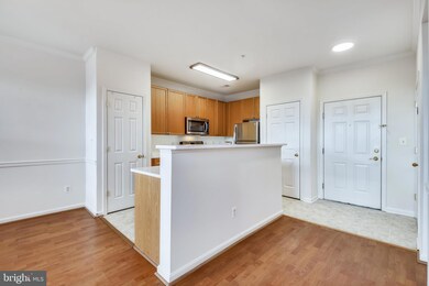 2665 Manhattan Place unit 308, Vienna, VA 22180 - photo 5