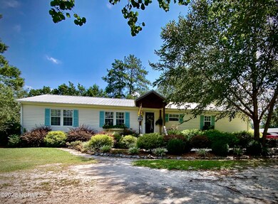 9750 Penderlea Hwy, Willard, NC 28478 - photo 2