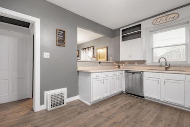 101 Haines St, Dowagiac, MI 49047 - photo 3