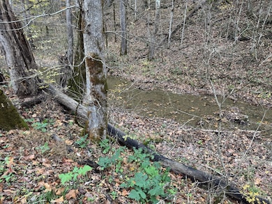 0 Pine Lick Rd unit RTC3043362, Whitleyville, TN 38588 - photo 4