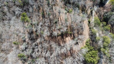 Tbd Hornet Dr, Whittier, NC 28789 - photo 6