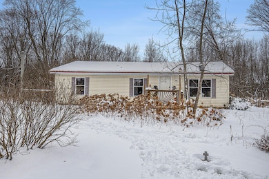 4010 S Brown Rd, Sidney, MI 48885 - photo 2