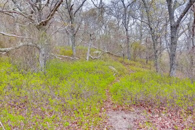 20 Luce Farm Rd, West Tisbury, MA 02575 - photo 4