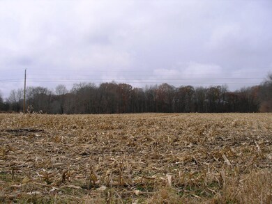 50791 Maple & 40 ac Maple Rd 003